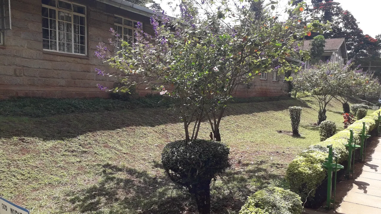 Green gardens and hedges on the Alliance Girls' campus